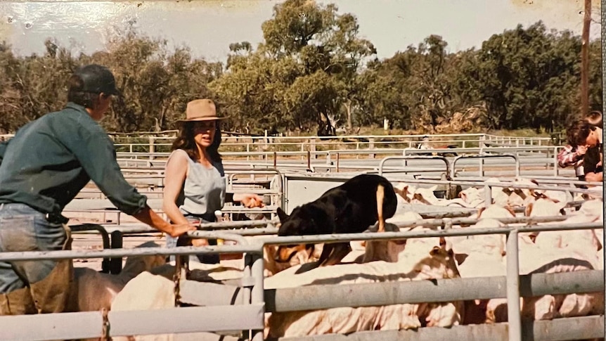 A woman in a farm hat and long brown hair commands a kelpie dog backing along a race of sheep.