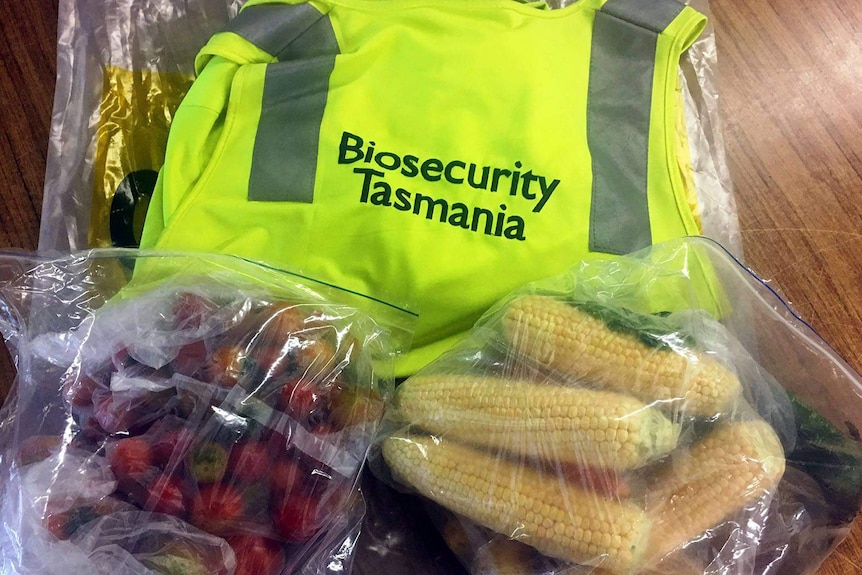 Pihak biosekuriti Tasmania menahan jagung dan strawberry dari penumpang yang hendak masuk ke negara bagian Tasmania, Australia.