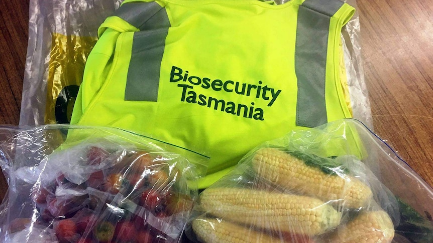 Fruit and vegetables seized from Flinders Island