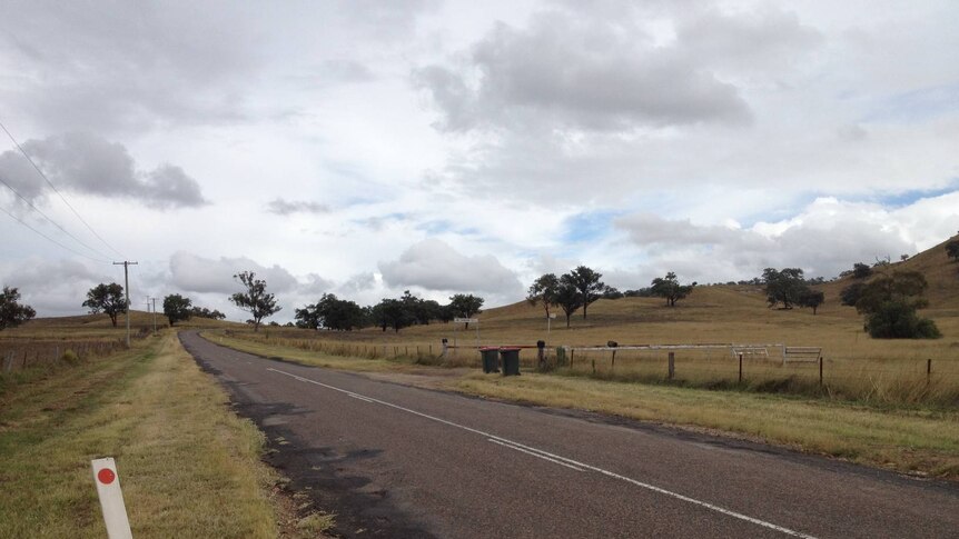 Country road in the New South Wales Upper Hunter