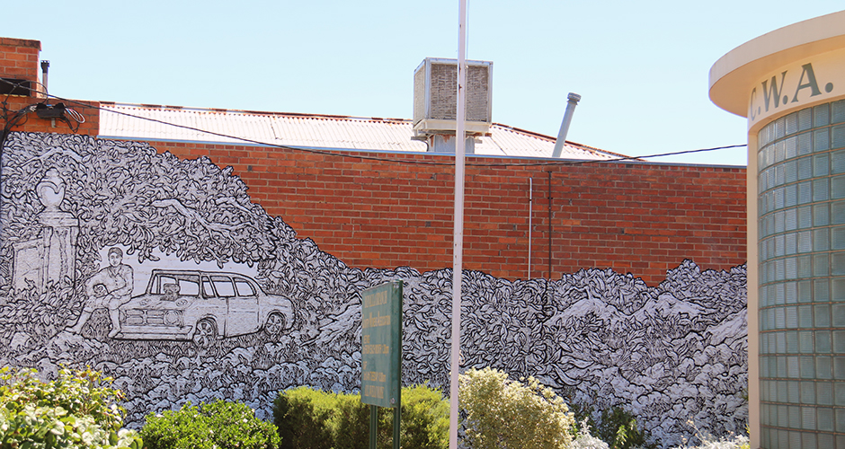 A mural by Shaun Lu in Benalla beside the Country Women's Association building.