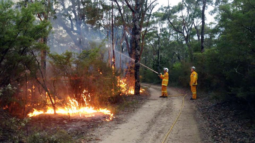 Firefighters conduct back-burning operations at a bushfire at Warrimoo