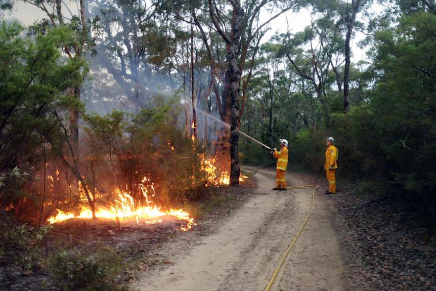 Firefighters conduct back-burning operations at a bushfire at Warrimoo