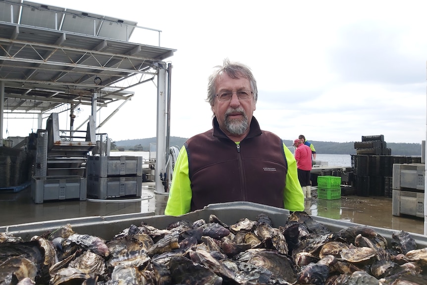 a man stands in front of a large bin of oysters