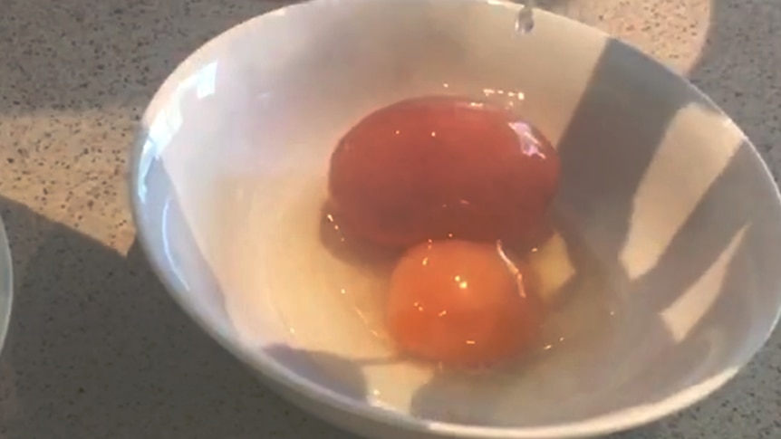 An egg white and joke with a second shelled egg in a white bowl on a kitchen bench