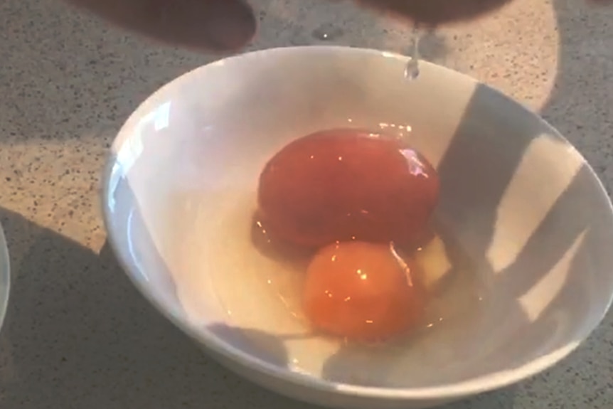 An egg white and joke with a second shelled egg in a white bowl on a kitchen bench