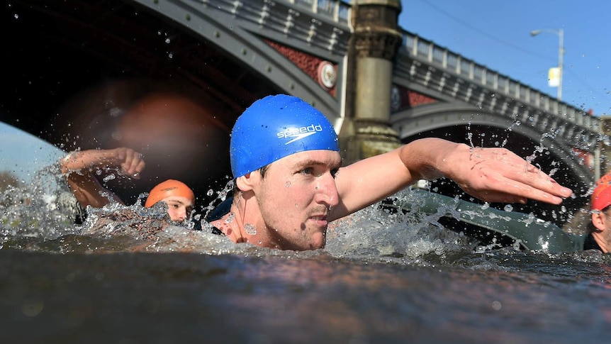 A man in a blue bathing cap pulls his arm out of the river in a free-style motion with the Princes Bridge in the background.