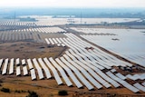 Biggest solar farm in the world farming the sun's rays in India