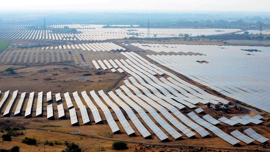 Biggest solar farm in the world farming the sun's rays in India