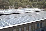 A building with hundreds of solar panels on its roof