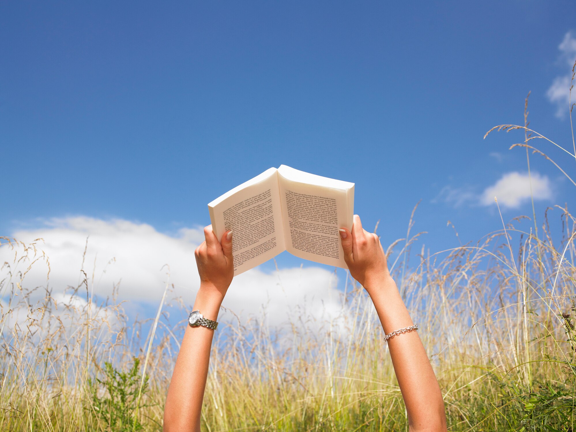 Arms holding a book against a blue sky, surrounded by field of high grass.