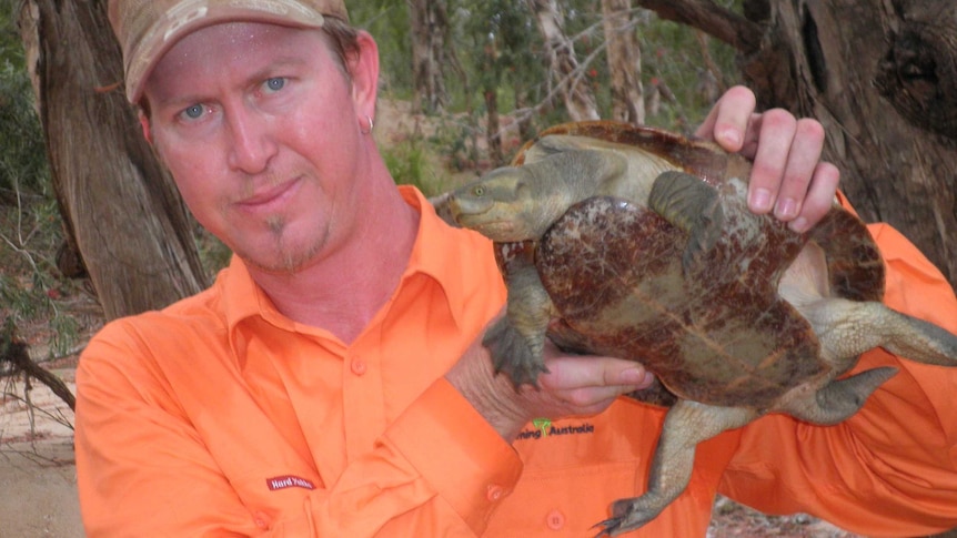 Greening Australia works to protect the endangered turtle