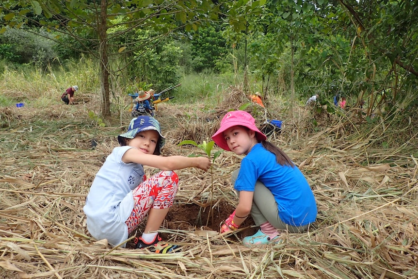 Two children sit around a small tree on piles of grass