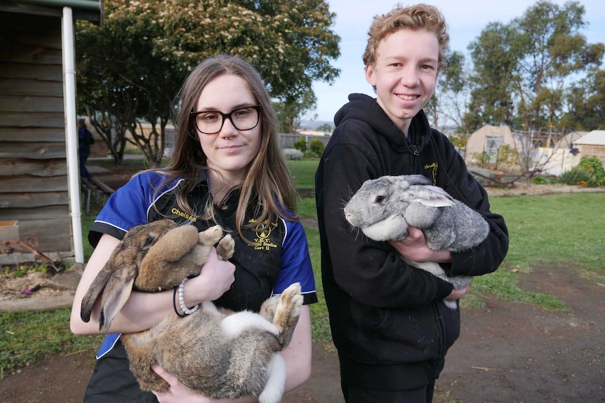 Two students holding large fluffy rabbits