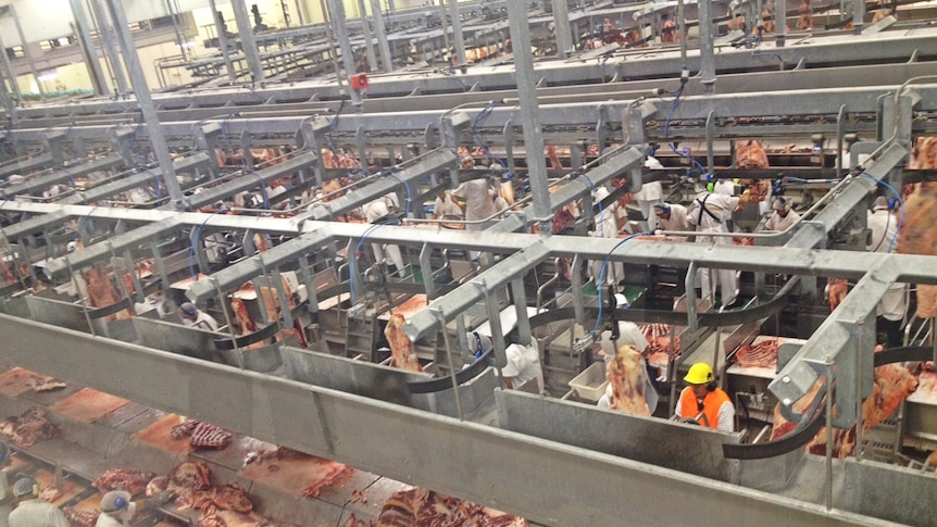 Australian beef being processed at Oakey, southern Queensland
