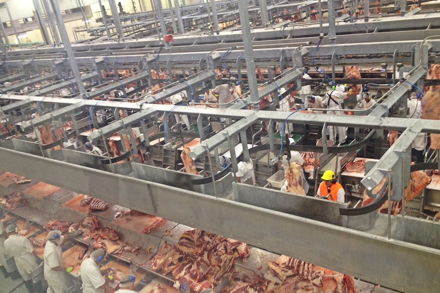 Australian beef being processed at Oakey, southern Queensland
