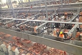 An interior view of a a meatworks, with workers cutting beef