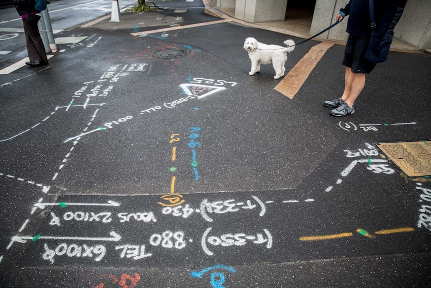 Paint markings on the footpath where the Metro Rail Project will be built.