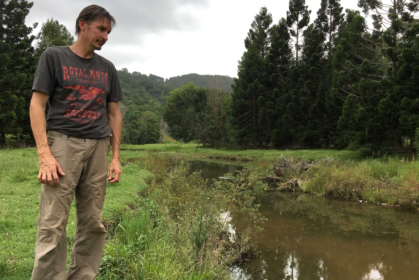 Patrick O'Brien looking at the Bilambil Creek