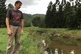 Patrick O'Brien looking at the Bilambil Creek