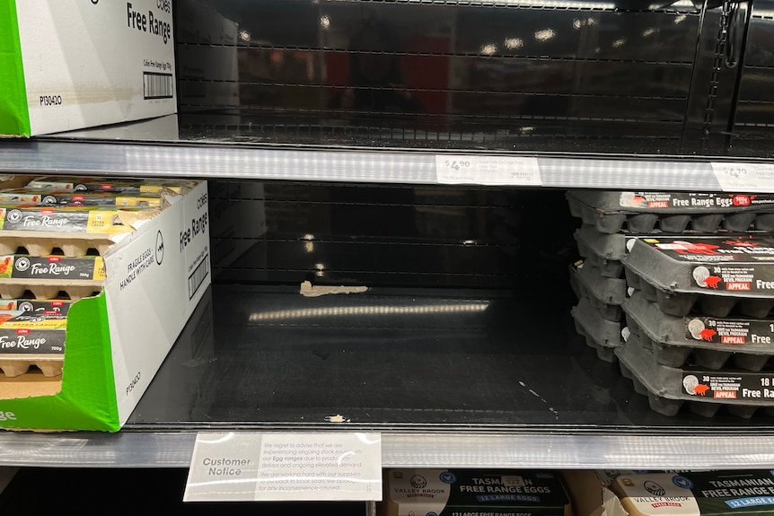 An empty section on the egg shelf at a Coles Supermarket.