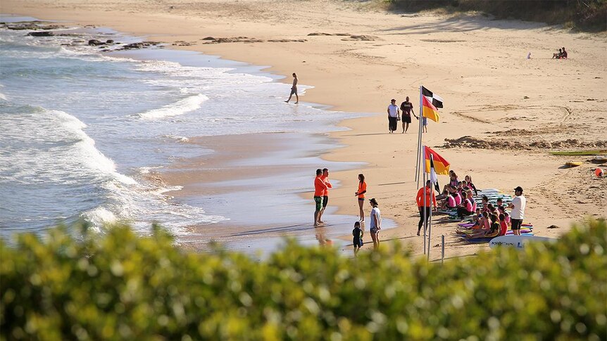 Nippers sit on the sand at Sandon Point between the flags at the beach.