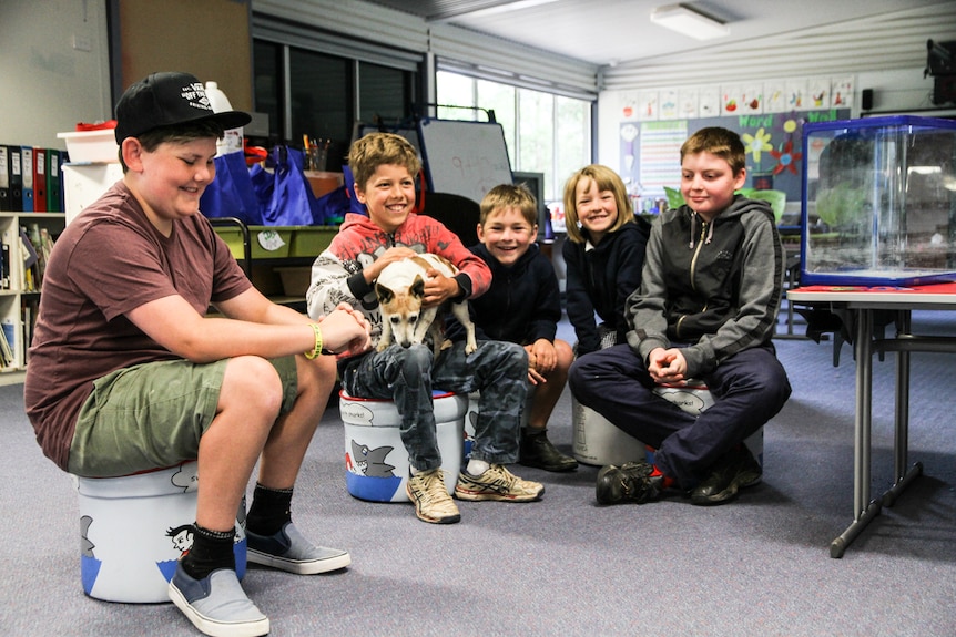 Five smiling students and one pet dog sitting in the classroom.