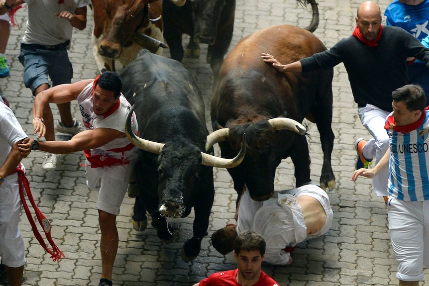 Animal rights groups protest against 'cruel, violent and bloody' running of  the bulls - ABC News