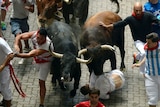 People injured in running of the bulls in Pamplona