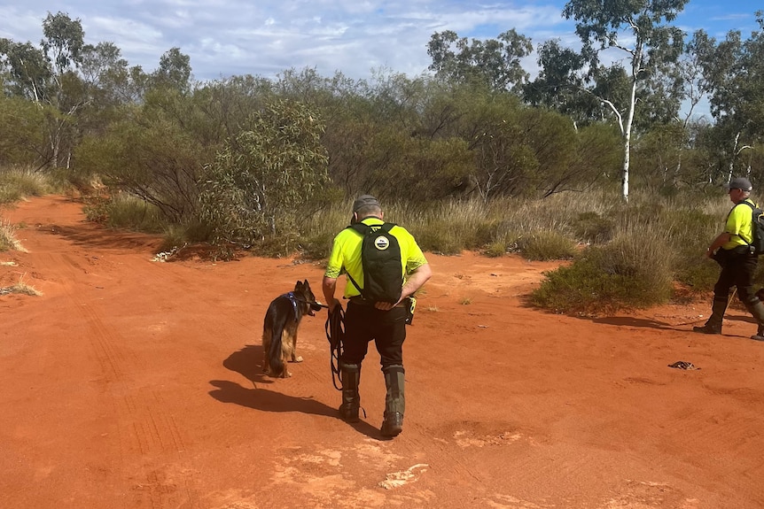 A person in high-vis follows a search dog in a scrubby outback area.