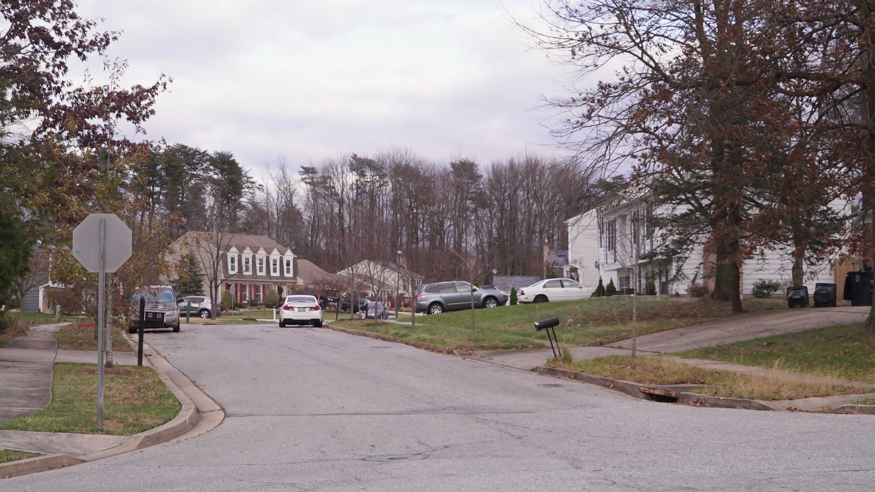 Image shot from low angle shows typical Maryland street on a grey day, with cars and affluent-looking houses in backdrop.