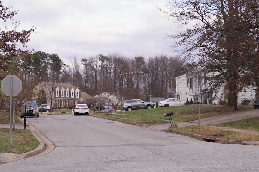 Image shot from low angle shows typical Maryland street on a grey day, with cars and affluent-looking houses in backdrop.