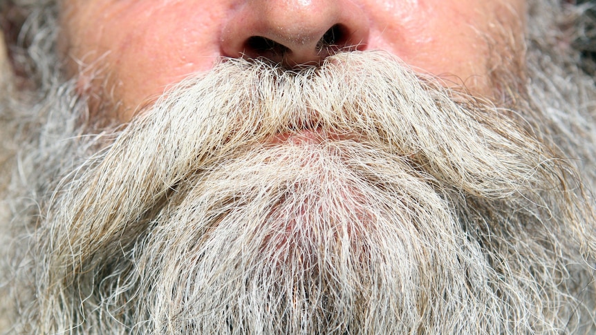 A bushy grey beard on the face of an older man.