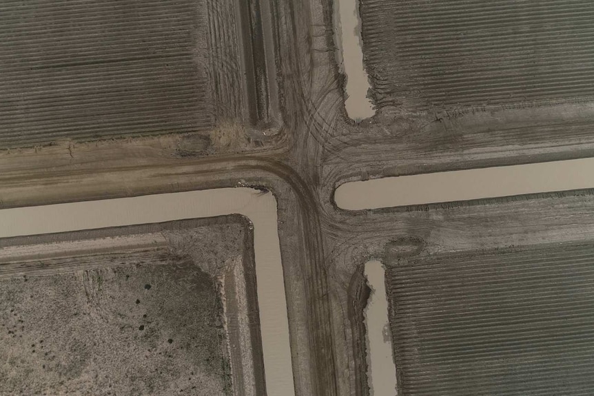 An aerial image of irrigation channels in paddocks