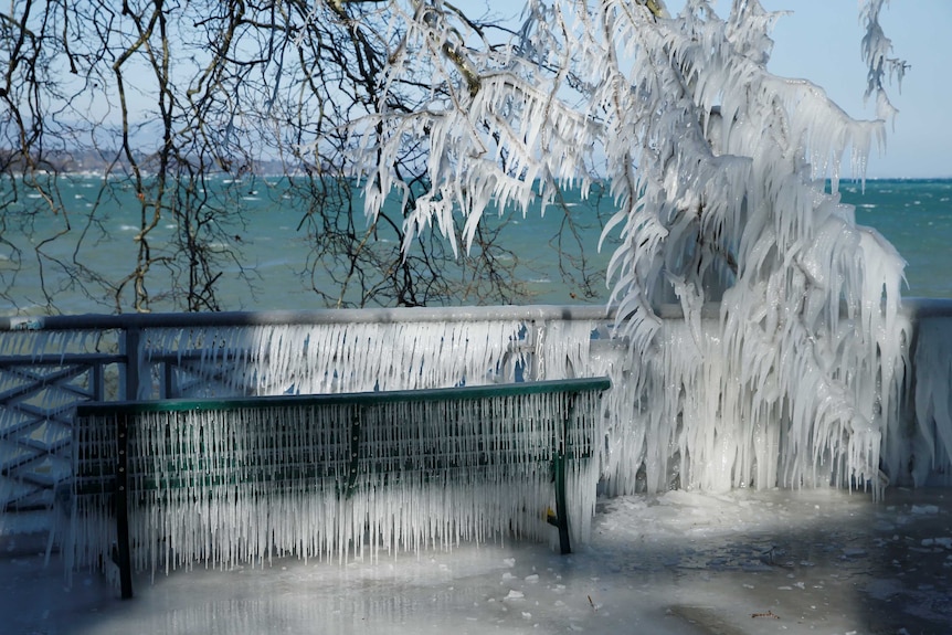 Icicles are seen hanging off tree branches, a railing, and a park bench in Sweden.