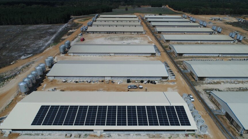 Rows of large sheds, one with solar panels on it.