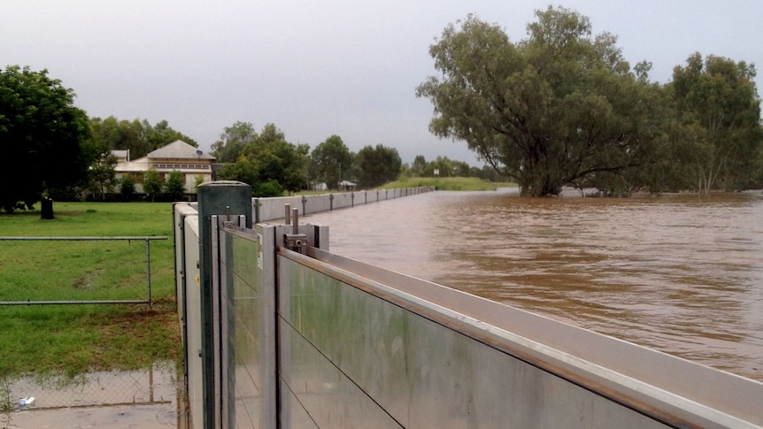 A flood levee in Charleville at 8:00am on February 4, 2012.