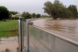 A flood levee in Charleville at 8:00am on February 4, 2012.