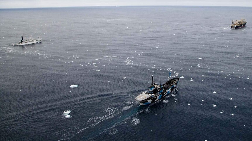 Sea Shepherd ships escort Japanese whaling fleet