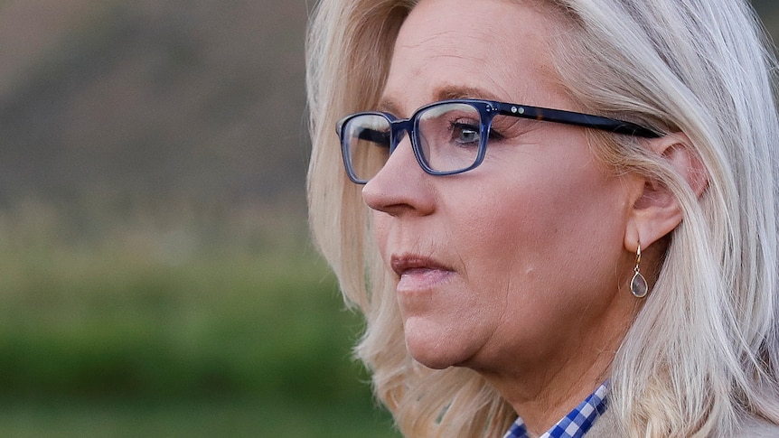 Liz Cheney wearing dark glasses, shot in profile, looking thoughtful 