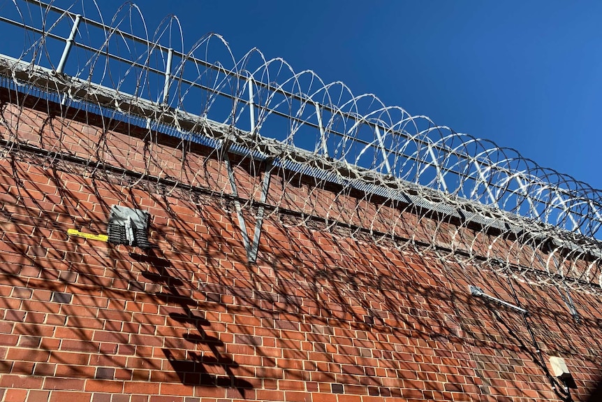 A jail wall topped with multiple layers of barbed wire.