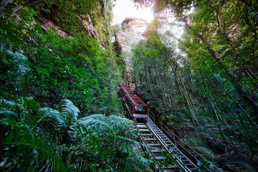 Blue Mountains Scenic Railway