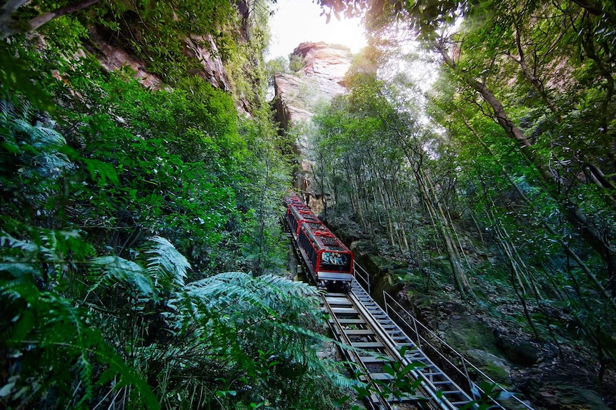Blue Mountains Scenic Railway