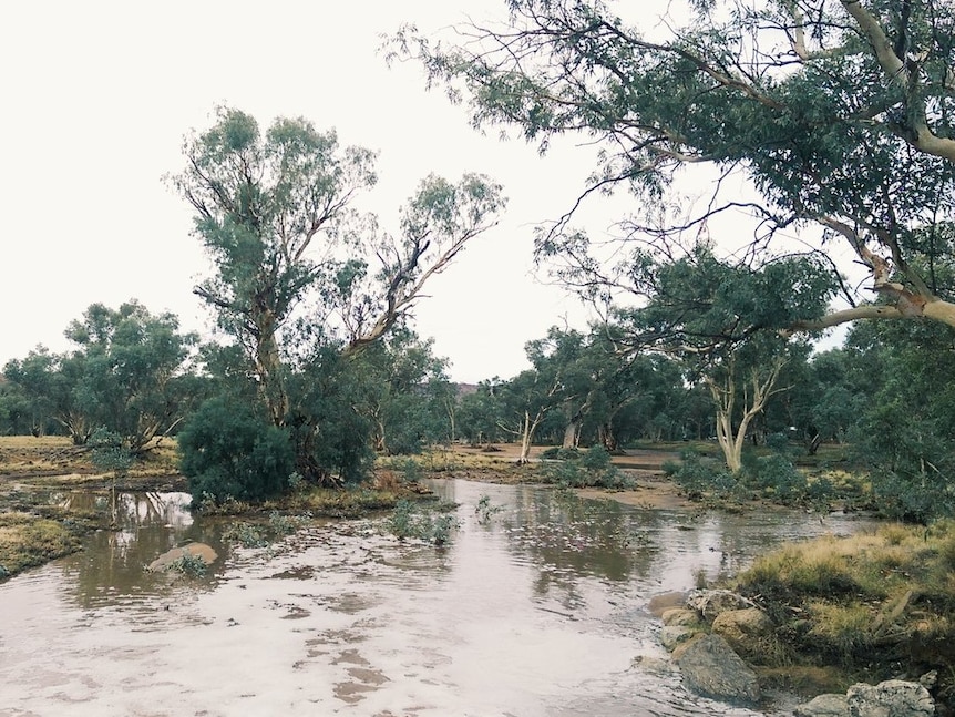 The Todd River flowing