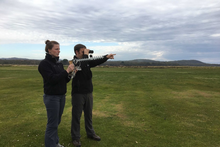 Alynn Martin and  Dr Scott Carver looking for wombats.