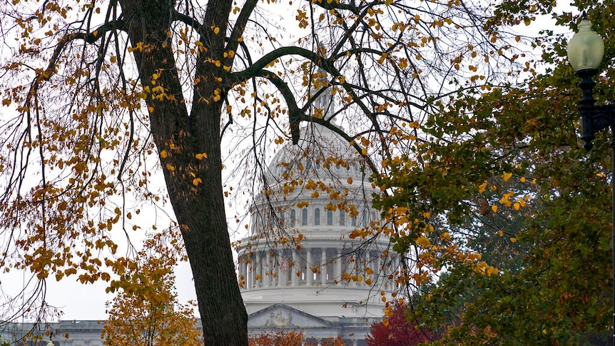 The Capitol is seen through the threes. Autumn leaves are falling from a tree. 