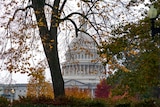 The Capitol is seen through the threes. Autumn leaves are falling from a tree. 