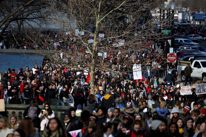A crowd of thousands walk the streets of DC on their way to the capitol building and congress