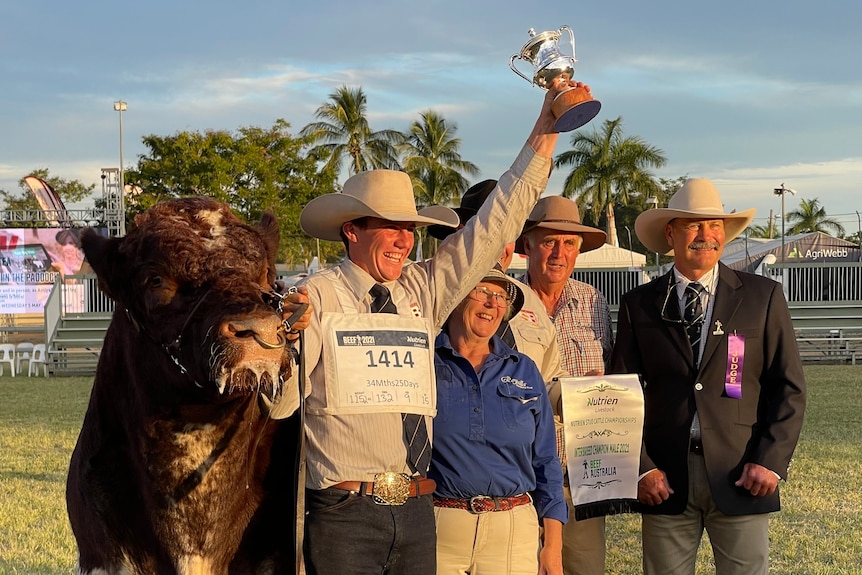 A bull surrounded by a group of people who are lifting a trophy in the air.