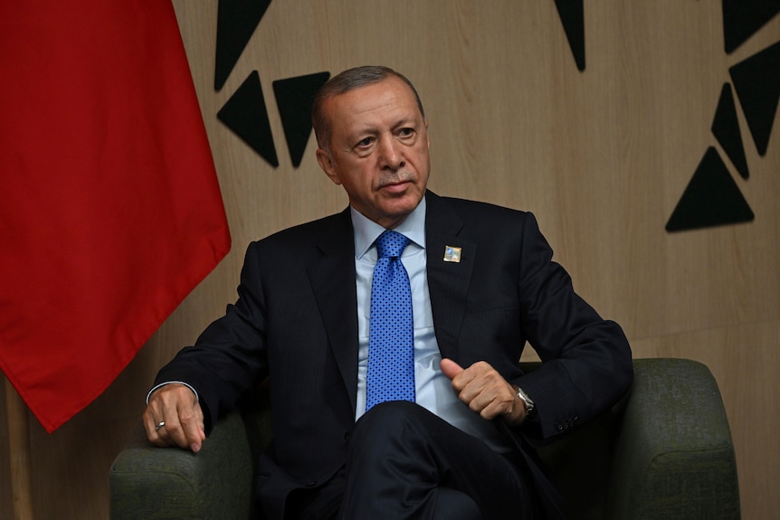 Turkey's President Recep Tayyip Erdogan is pictured during a bilateral meeting Britain's Prime Minister.